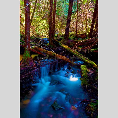 Antler Lake Trail Creek